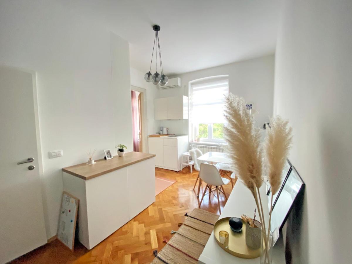Bright Apartment 45M2 - Free Parking - Wifi Риека Экстерьер фото