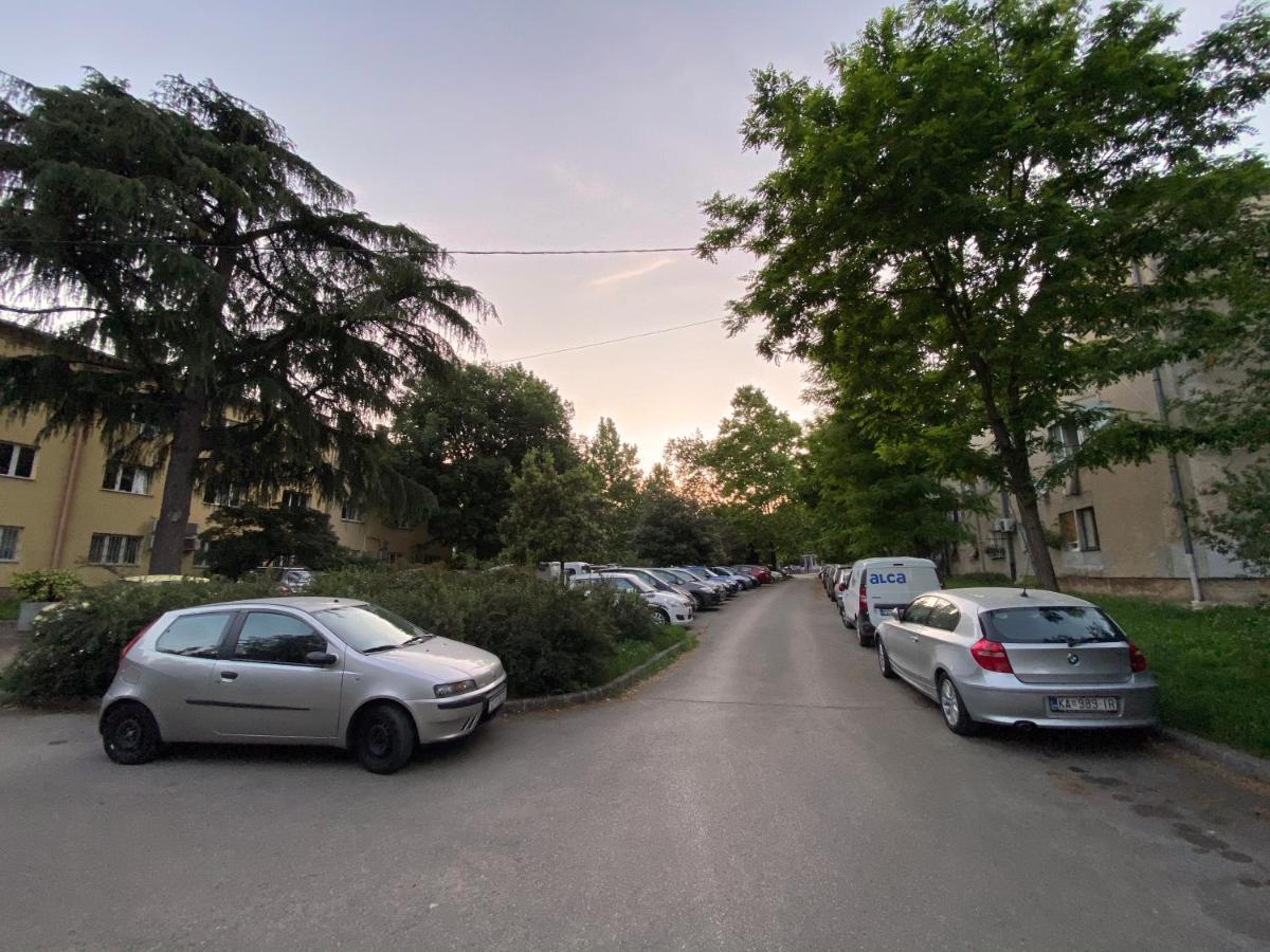 Bright Apartment 45M2 - Free Parking - Wifi Риека Экстерьер фото